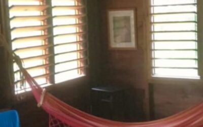 Louvered Blinds – A perfect solution in the Caribbean