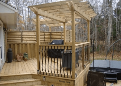 Barbeque deck with louver fences